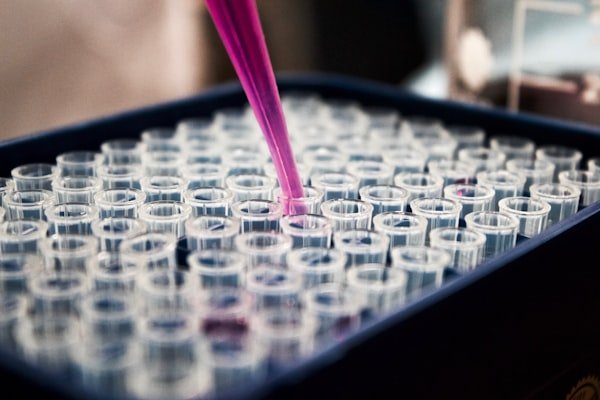 Researcher at work