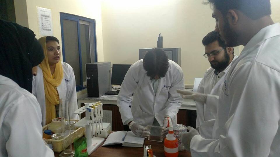 Basic Molecular Biology Techniques-I — photograph 6