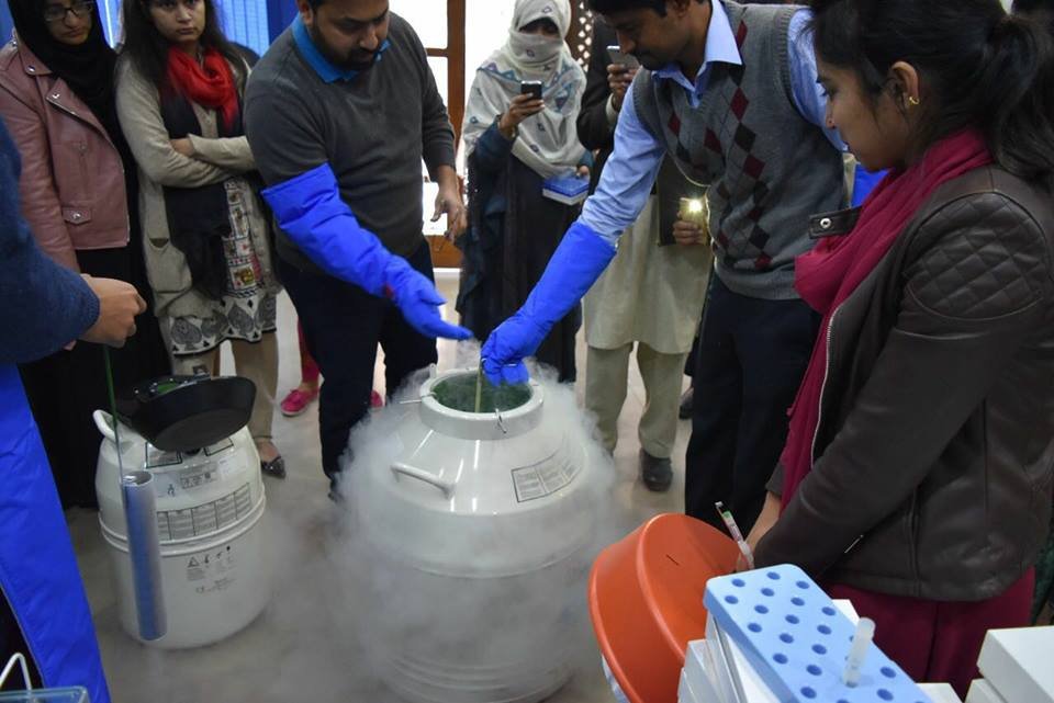 Cryopreservation training sessions at Alpha Genomics. — photograph 14