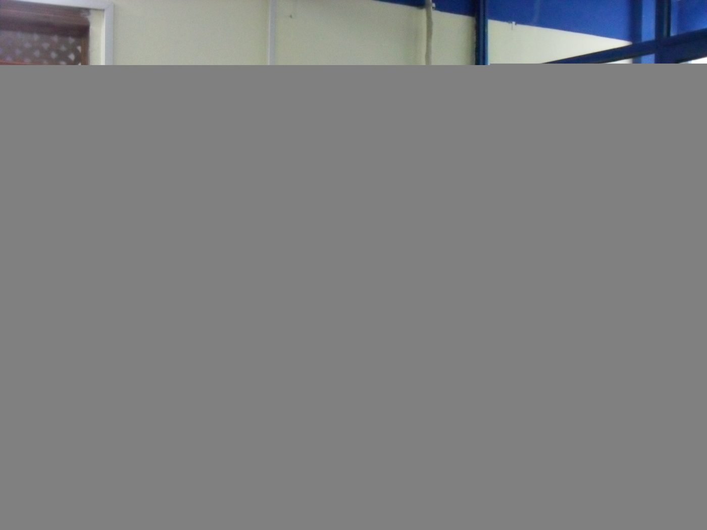 Guest Researchers — photograph 13