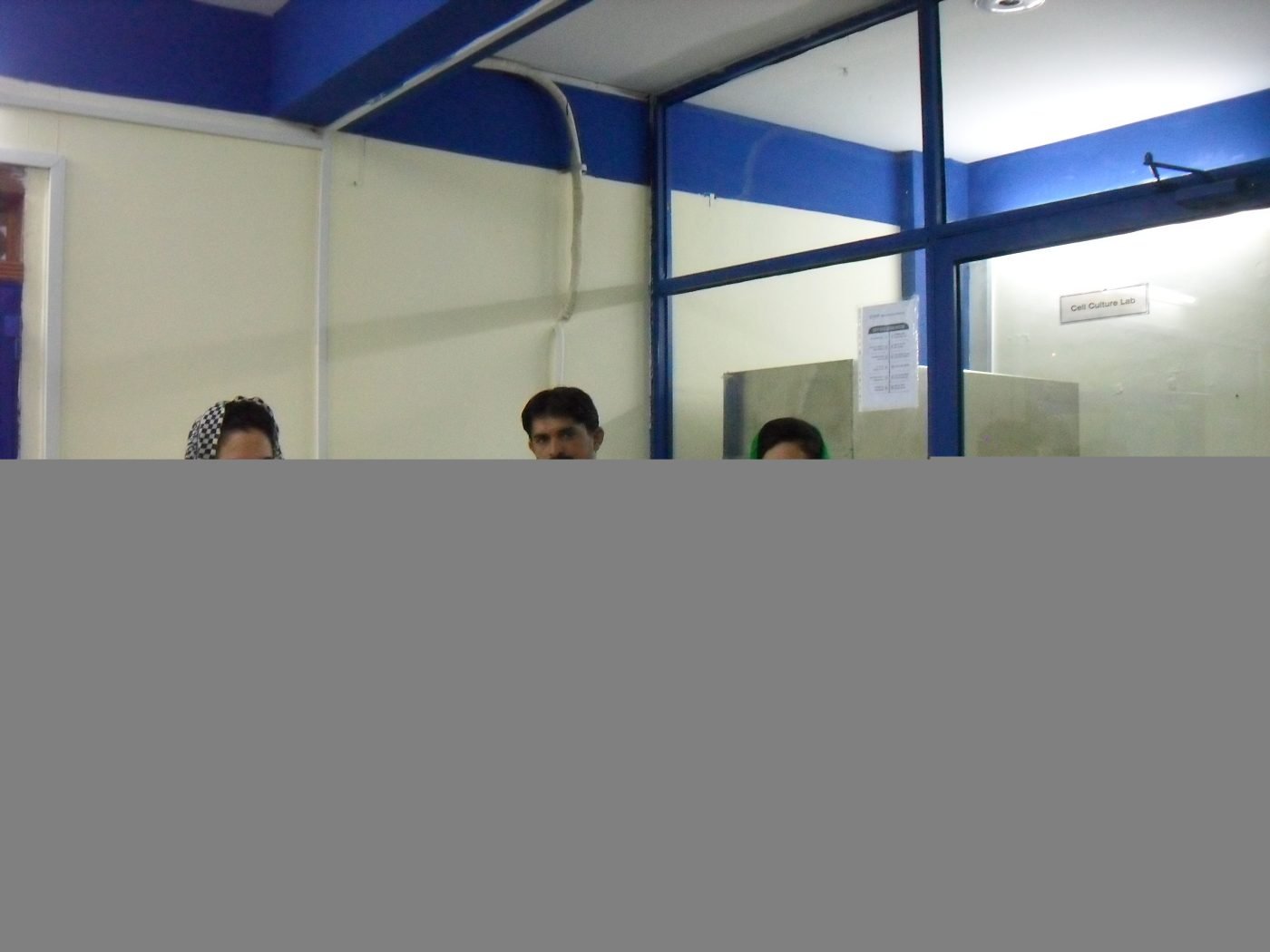 Guest Researchers — photograph 14