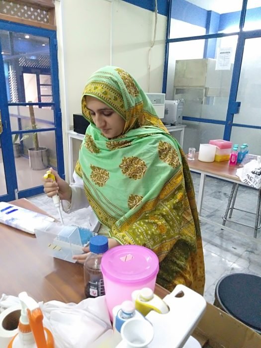 Farah Bibi